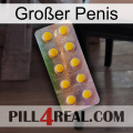 Großer Penis new11